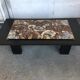 Coffee table with petrified wood top