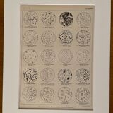 Lithograph on microbes from 1921