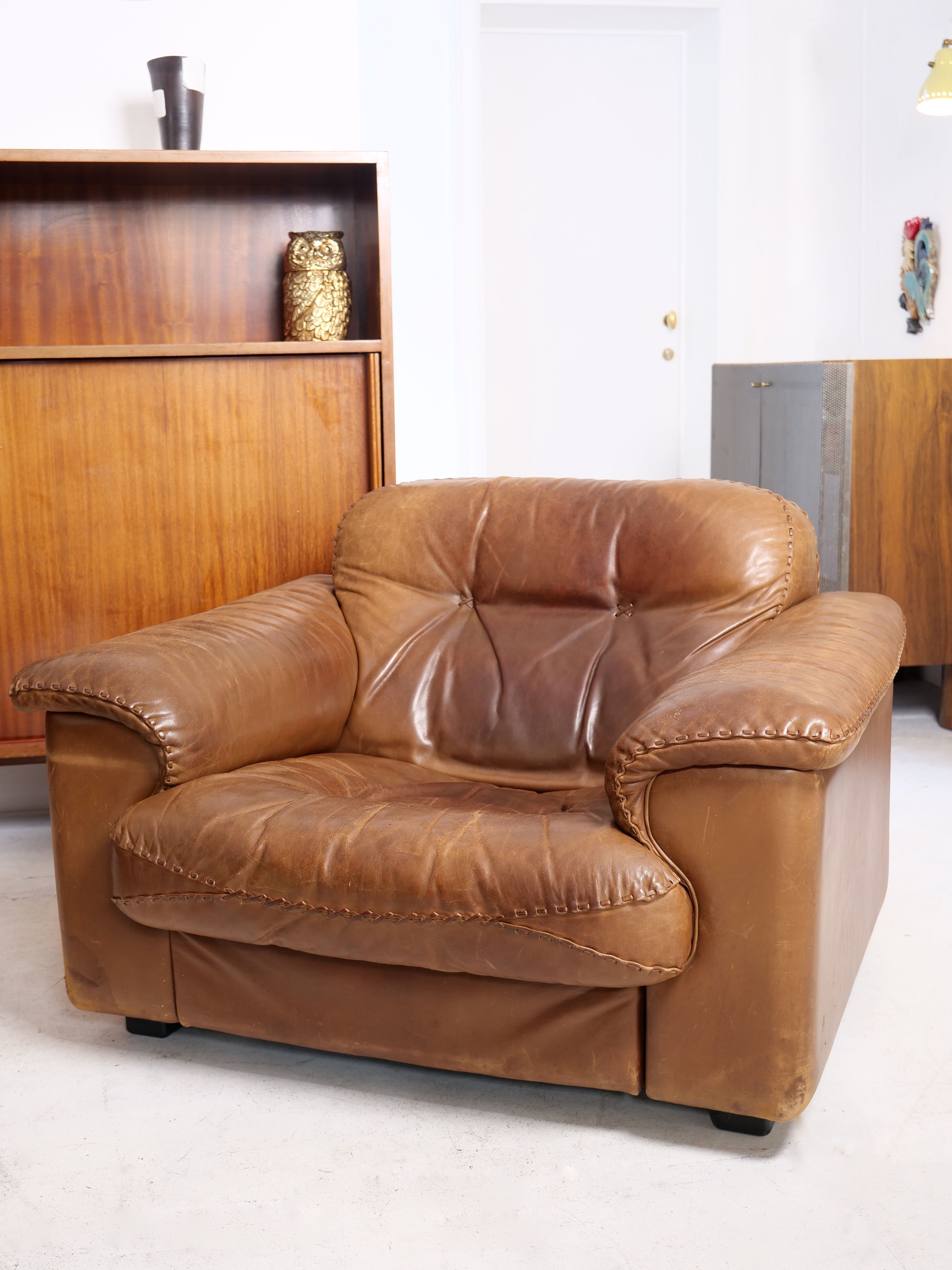 Armchair of sede DS 101