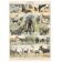 Planche ancienne sur les mammifères 1897
