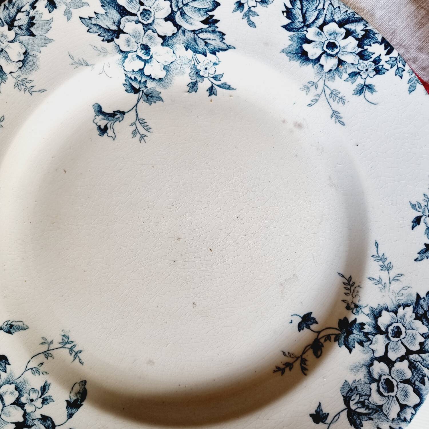 Lot de 6 assiettes plates terre de fer dépareillées