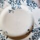 Lot de 6 assiettes plates terre de fer dépareillées