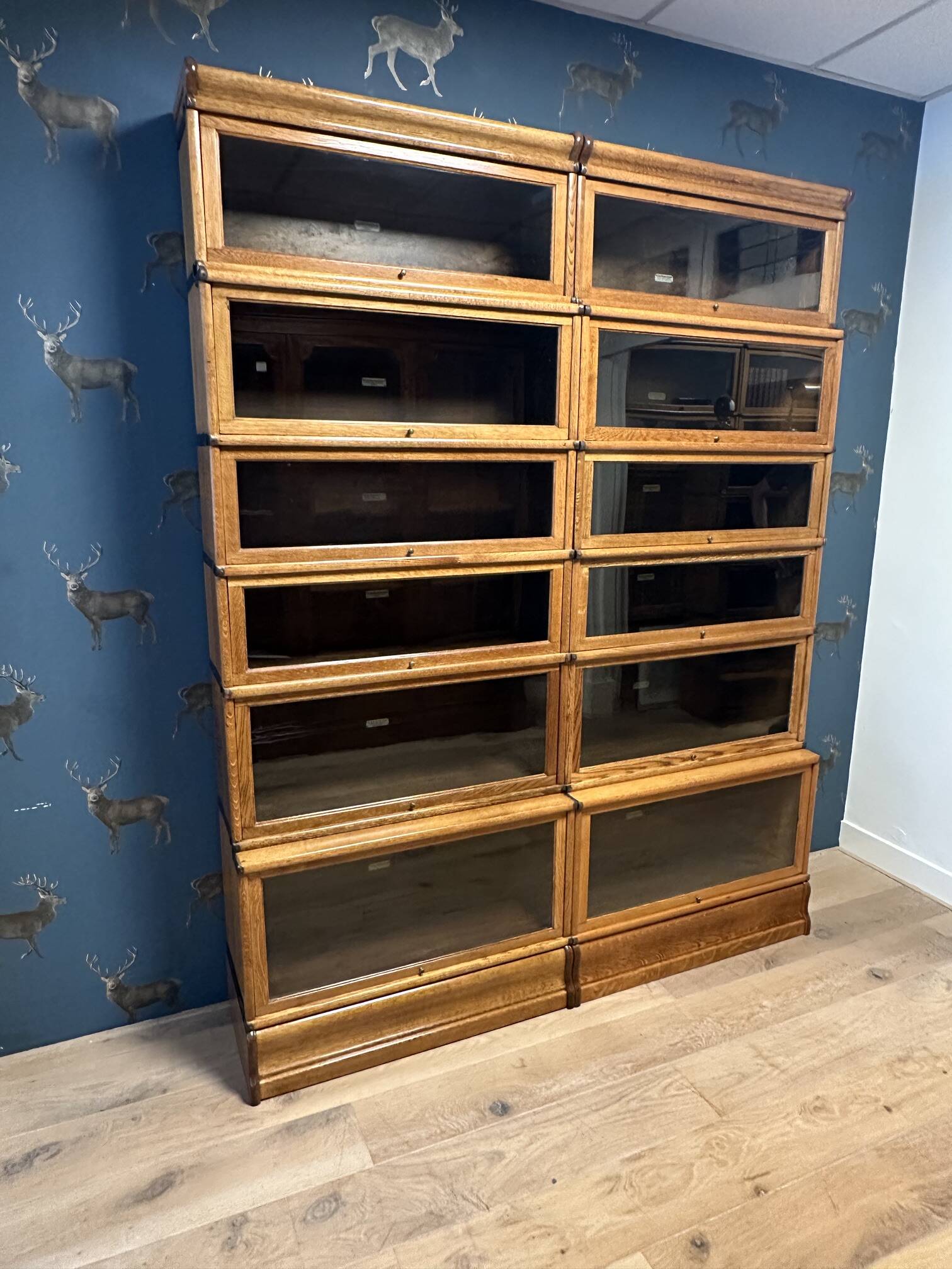 Large Glob Wernicke Bookcase