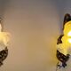 Swan neck wall lights in bronze and glass - early 20th century.