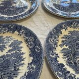 English dinner plates