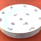 5 antique porcelain soup plates PN France