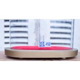 Oval glass globe 35 cm square gilded wood