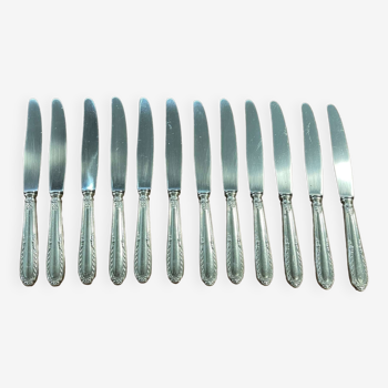 Set of 12 knives in silver metal and stainless steel from the Ravinet d'Enfer Paris brand