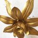 Old wall light flowered