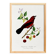 Poster about the Ramphocelus (bird), based on an old engraving from 1842.