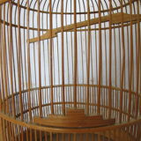 Cage à oiseaux