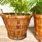 Rattan planters