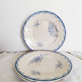 Assiettes plates en faïence de Sarreguemines , Watteau , U & C , années 50