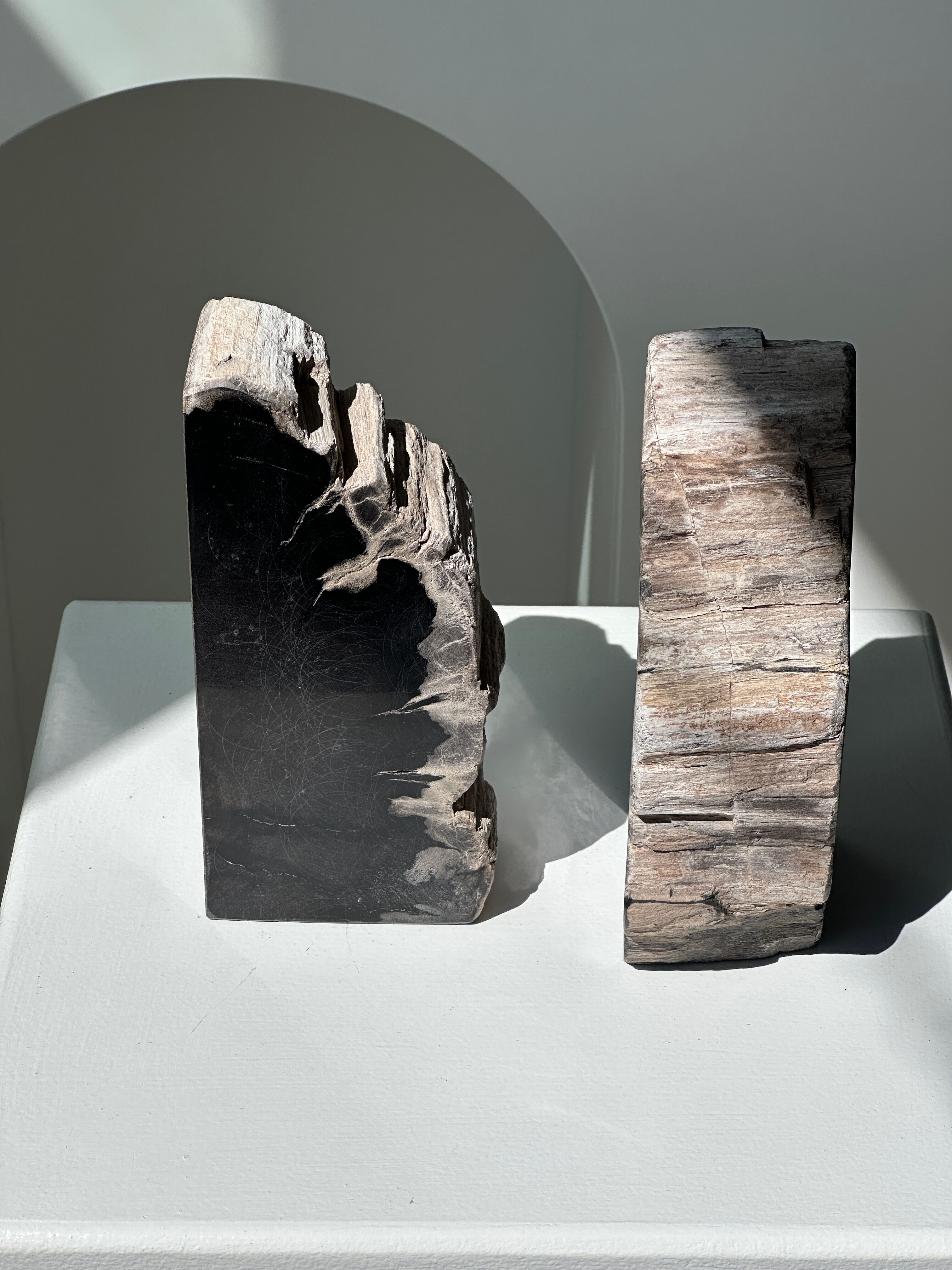 Black petrified wood bookend H17 L17 P6