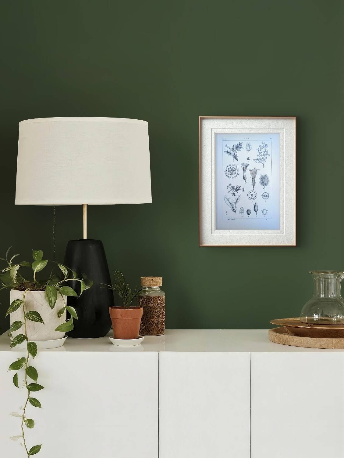 Printed in 1889, the nightshades (Solanaceae). Old botanical plate.