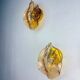 Pair of "Leaf" Murano pink glass wall sconces, Italy, 1970s