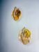 Pair of "Leaf" Murano pink glass wall sconces, Italy, 1970s