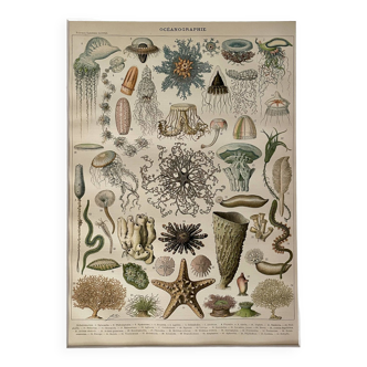 Lithograph on oceanography - 1900