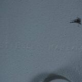 Height-adjustable floor lamp by Stiegler Marbach 1960s