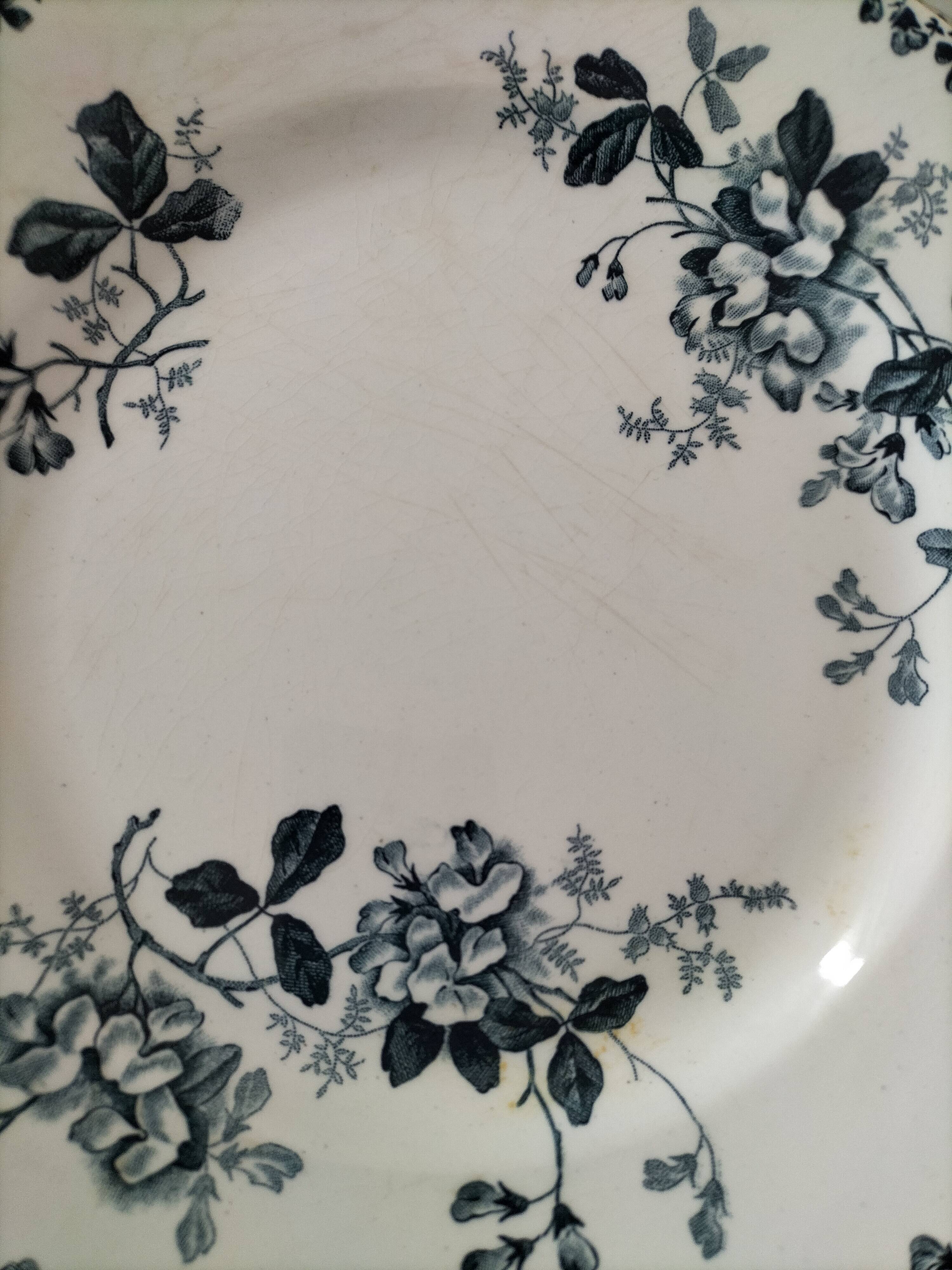Set of 10 ironstone plates Moulin des Loups Acacia
