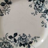 Set of 10 ironstone plates Moulin des Loups Acacia