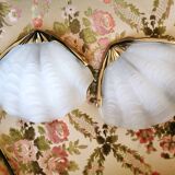 Wall light  shell frosted glass