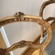 Louis XV style chairs