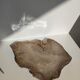 Large empty pocket or flat petrified wood - 30cm
