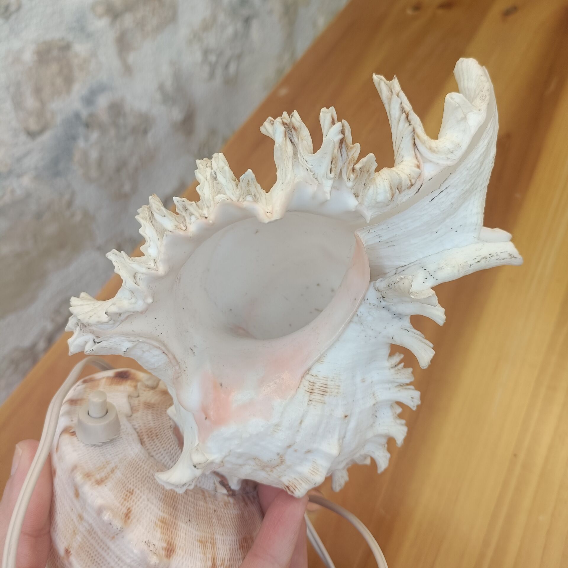 Shell lamp 60's