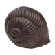 Escargot déco