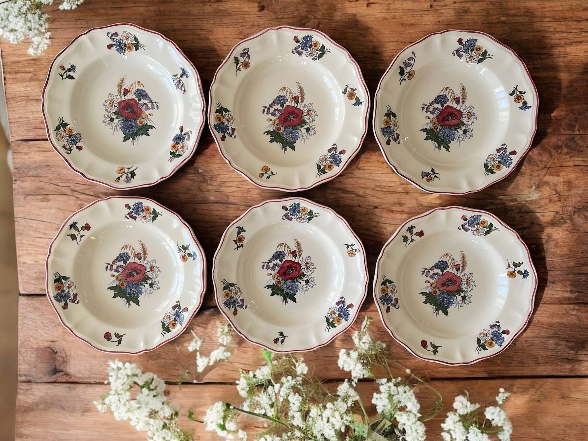 6  grandes assiettes creuses anciennes en faïence de Sarreguemines