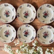 6  grandes assiettes creuses anciennes en faïence de Sarreguemines