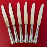 Ménagère Ercuis complete 6*4 silver metal cutlery