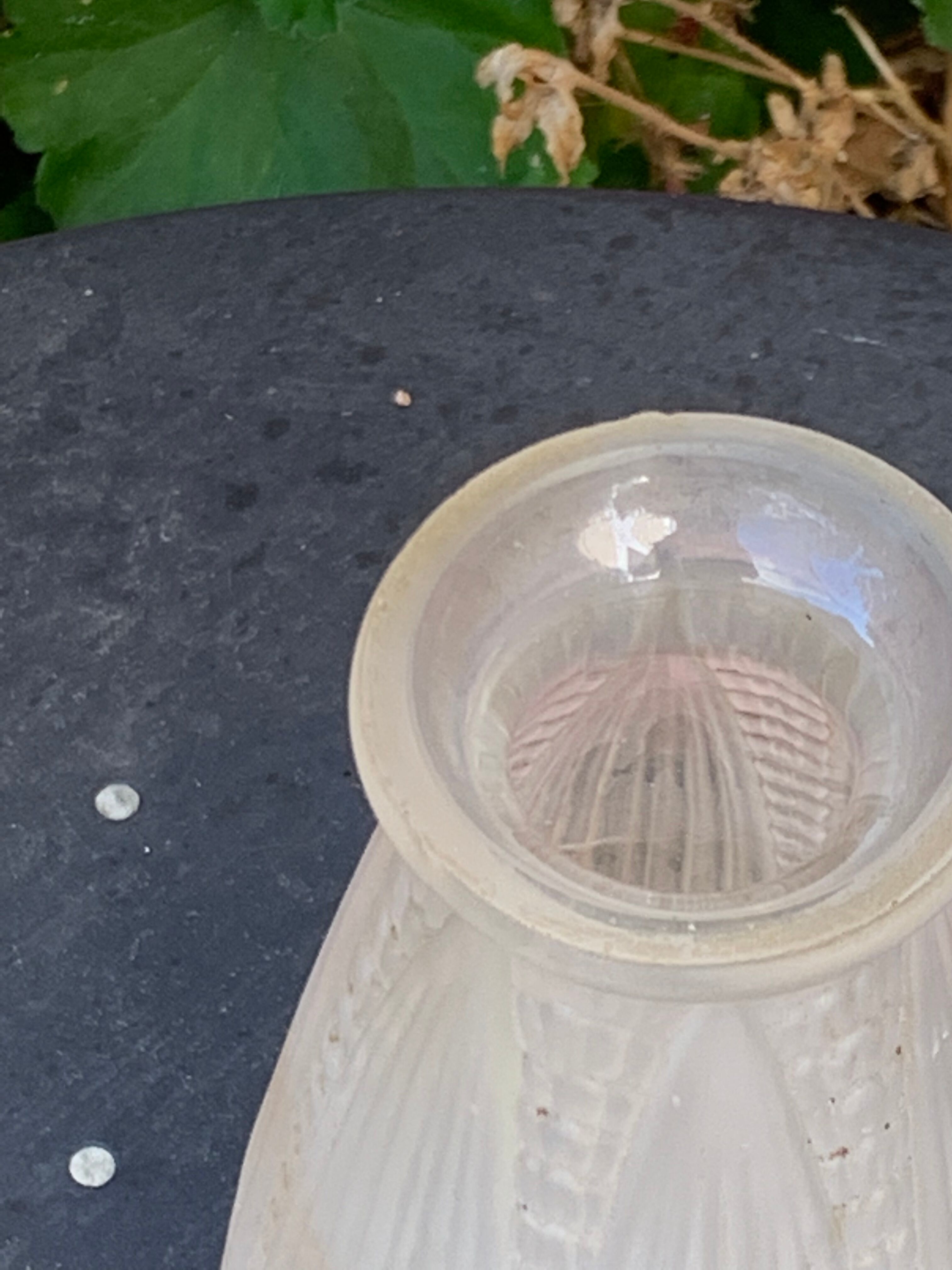 Hyacinth vase in frosted glass art deco foliage pattern