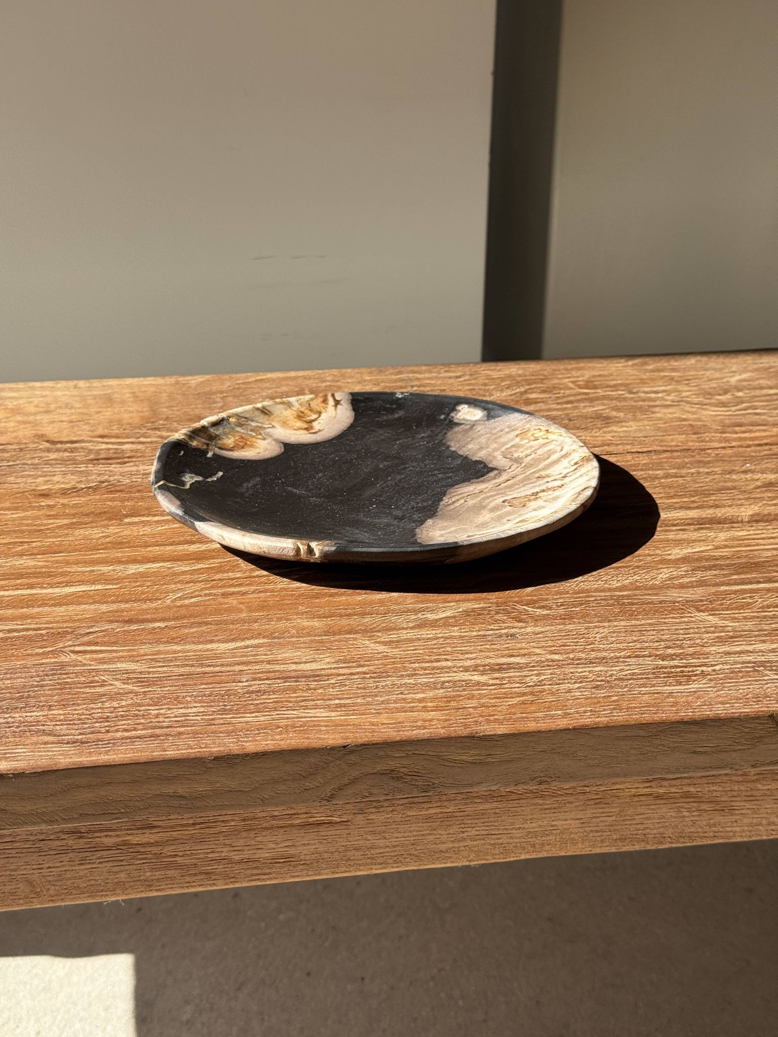 Small pocket tray or dish in black and beige petrified wood D20.5 -3317