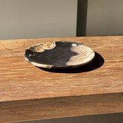 Small pocket tray or dish in black and beige petrified wood D20.5 -3317