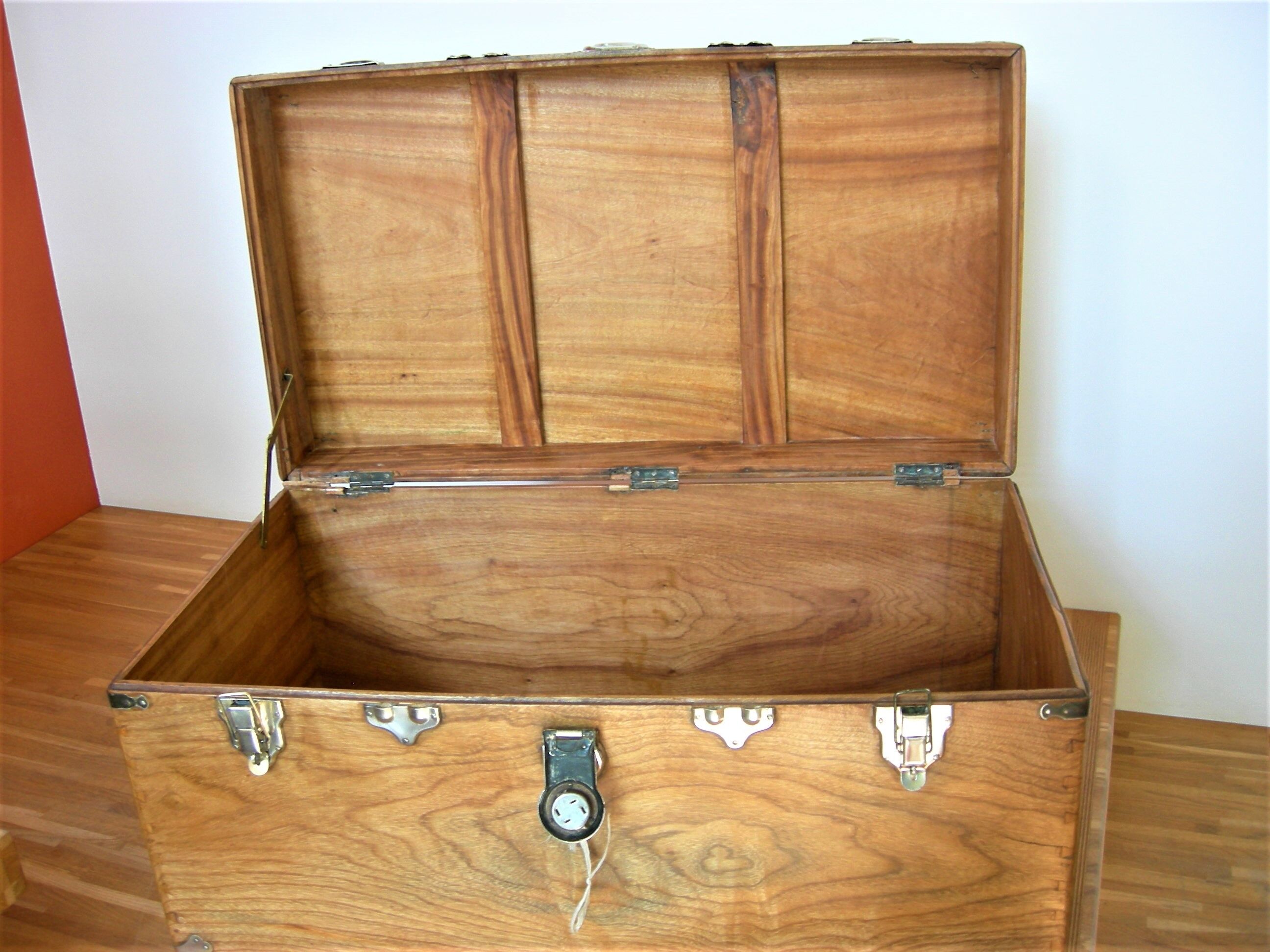Trunk of camphor from the 19 th marine