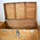 Trunk of camphor from the 19 th marine