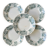 Set of 5 antique deep plates "Terre de Fer"
