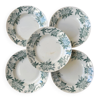 Set of 5 antique deep plates "Terre de Fer"