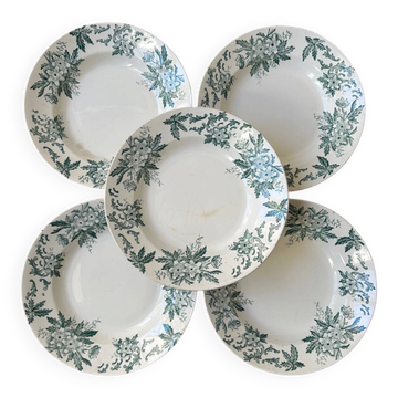 Série de 5 assiettes creuses anciennes « Terre de Fer »
