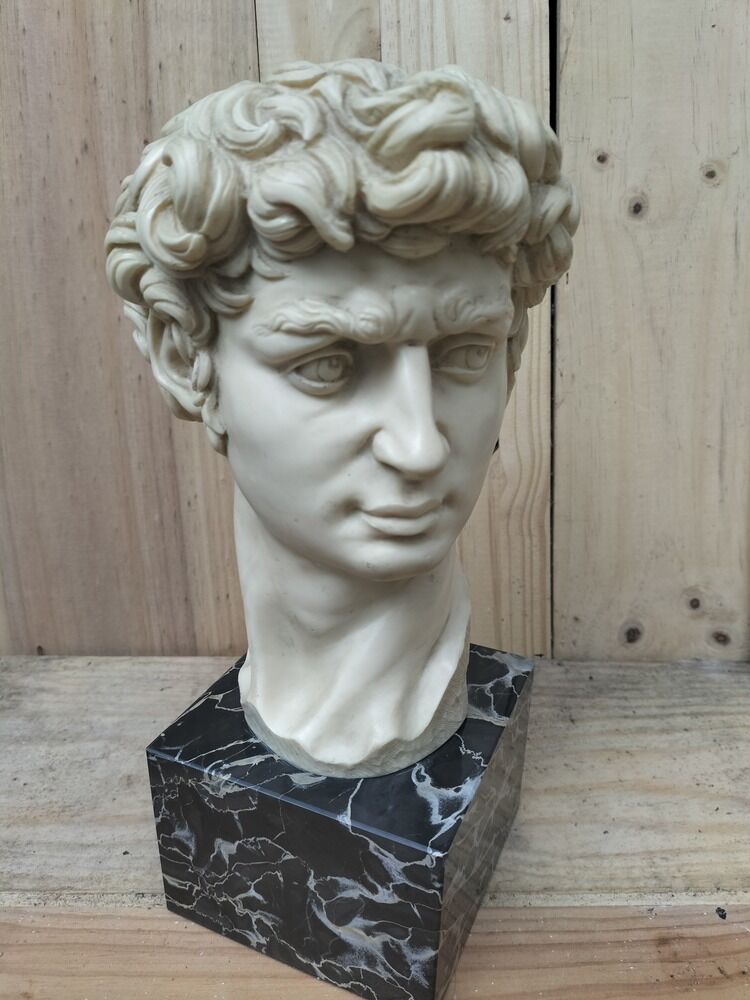 Reproduction head of David