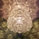Brass and textured transparent glass ceiling light, Limburg, 1970