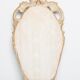 Miroir mural vintage style milieu du siècle avec décor fleurs en plâtre