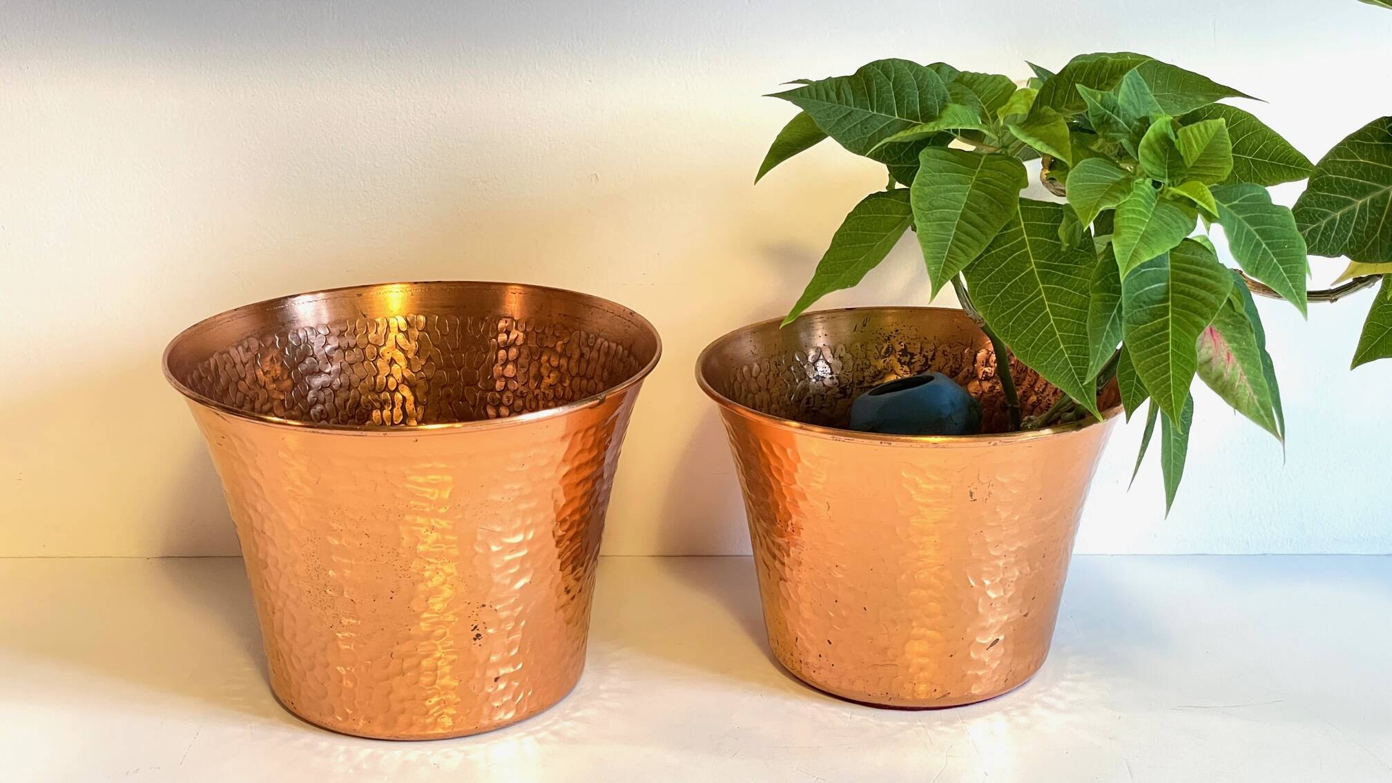 Pair of copper plants 1960s