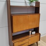 Shelf wall cabinet secretary