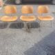 Chaises Charles Eames