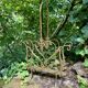 Brass magazine rack in baroque style