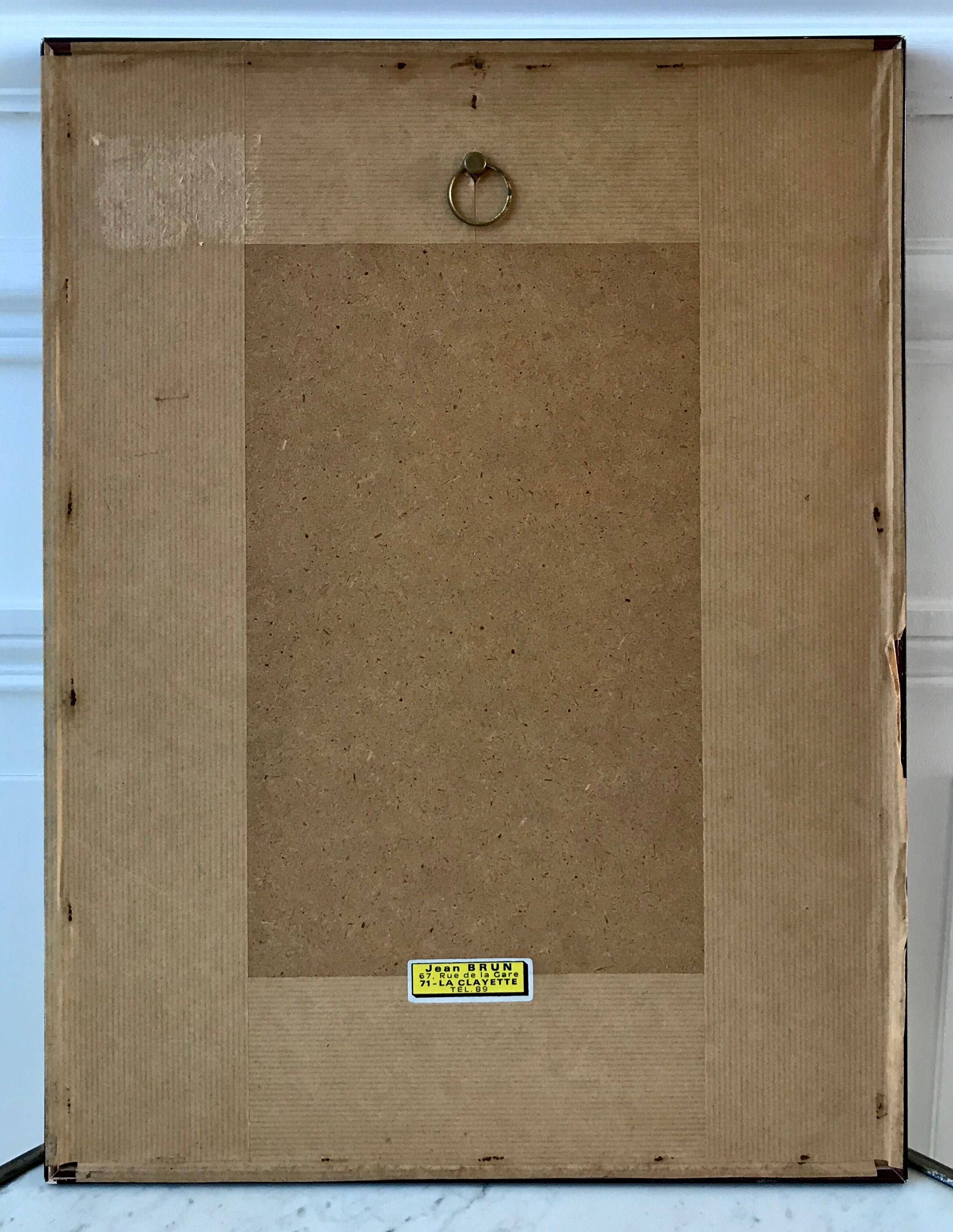 Lithography PJ Dreaded framed Rosa Turbinata