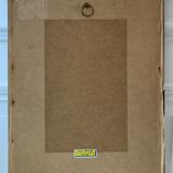 Lithography PJ Dreaded framed Rosa Turbinata